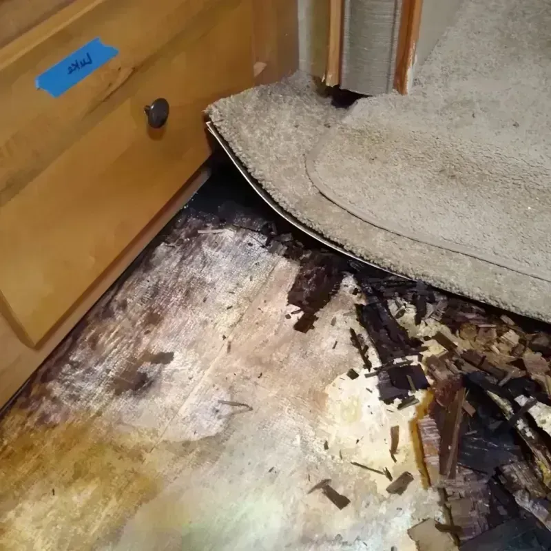 Wood Floor Water Damage in Basin, WY